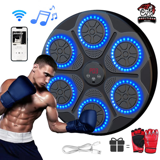 Electronic Boxing Target Punching Equipment