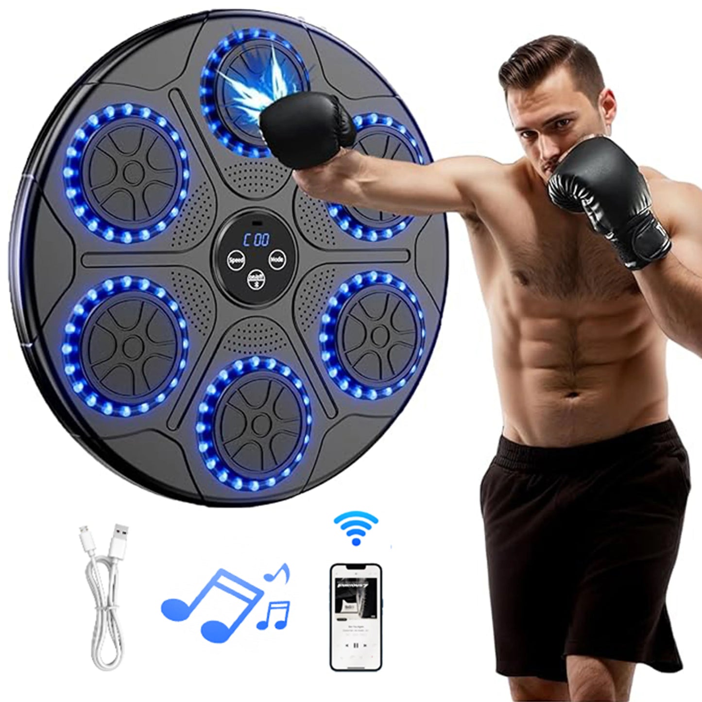 Electronic Boxing Target Punching Equipment